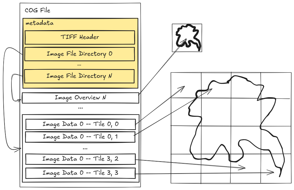 A breakdown of the data contained within a cloud-optimized GeoTIFF file. The
file begins with a region of bytes storing the metadata for the image data
contained within the rest of the file. This region of bytes is prefixed with
the TIFF header. Following that header are the Image File Directories for each
image contained with the file, indexed from the first image with index 0
through to the last image at index n. The image file directory contains all the
metadata for each image in the file. Multiple images within a single COG are
typically used to support reduced-resolution image overviews, such that image 0
is the full resolution image and each additional image is an overview of image
0. Each image file directory points to the data bytes of its corresponding
image. Those bytes are broken up into groups called tiles. Each tile maps to a
region in the larger image array.